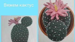 Вяжем кактус Эхиноцереус Шери. Часть 1. Тело кактуса. Вяжем вместе.
