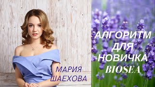 Алгоритм. Старт новичка. БИОСИ || BIOSEA С чего начать новичку