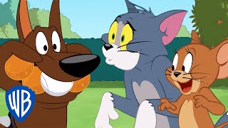 Tom und Jerry auf Deutsch | Rettet den Ball! | WB Kids