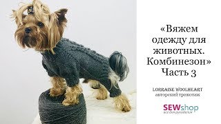 "Вяжем одежду для животных спицами. Свитер / Комбинезон. Часть 3" вместе с Lorraine Woolheart