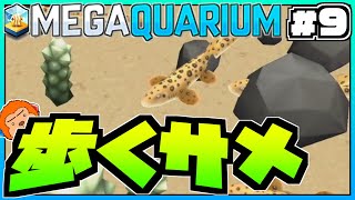 【switch版メガクアリウム】#9 -海底を歩くサメ！マモンツキテンジクザメを導入！-【MEGAQUARIUM】
