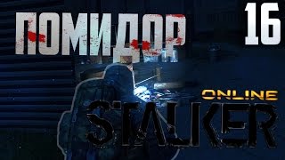 Stalker Online. Season 2 ►#16 - План "Помидор"