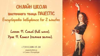 Encyclopedia bellydance for 2 minutes. Lesson 11. Camel, full wave. Уроки, обучение