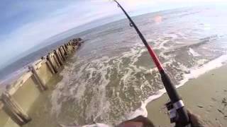 Fishing Edisto Beach / First Catch of the New Year 1/1/2015