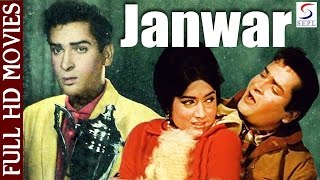 Janwar | Shammi Kapoor, Rajendernath | 1965 | Full HD Movie