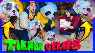 MIS DOS PERROS GIGANTES CONOCEN A MI NUEVO PERRITO BEBÉ - Yolo Aventuras