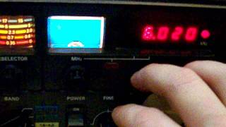 FRG 7000 & WinRad