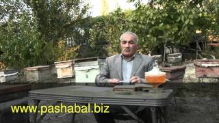 Vərəmum və çiçək tozu haqqında ümumi məlumat