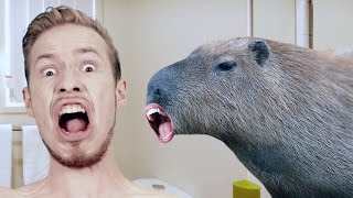 Вышибаттл Стаса Давыдова