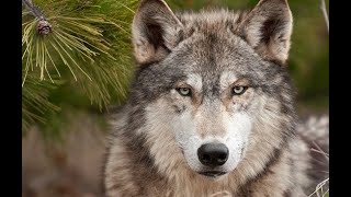 ? ХуДоЖнИкИ | Живопись | Рисуем вместе | Наталья Терехова