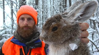 WINTER Bushcraft Meal Catch and Cook in the SNOWY FOREST | ASMR (Silent)