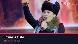 Bravo jamoasi - Bo'rining tishi