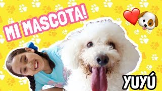 ¡LES PRESENTO A YUYÚ! / TAG DE LA MASCOTA - Gibby :)