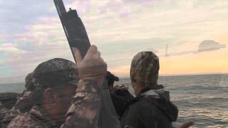 Maryland Seaduck Hunting Sea Ducks Pitboss Waterfowl