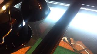 Bearded dragon uvb lighting and heat bulbs guide