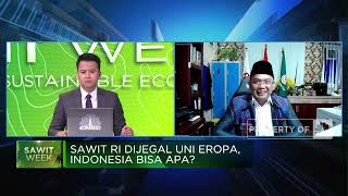 Lawan Uni Eropa! Ini Cara RI Selamatkan Industri Sawit