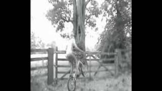 craig lee scott end of