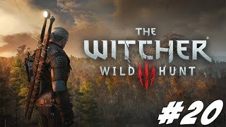 The Witcher 3 Wild Hunt : В новом сете #20