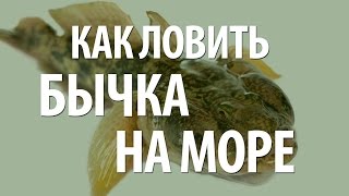 МОРСКАЯ ЛОВЛЯ БЫЧКА с БЕРЕГА. ОСНАСТКА и СНАСТЬ на БЫЧКА
