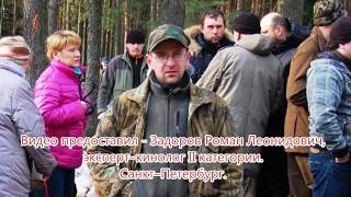 Нагонка молодой выжловки Альты вл.Задоров Р. Л. 05.06.2017г.