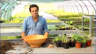 Curso de Plantas Aromáticas, Medicinais e Condimentares (Cantinho das Aromáticas)