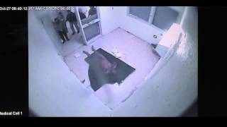David L Moss Elliott Williams Cruel And Unusual Punishment Lawsuit