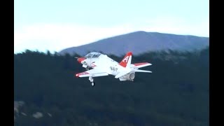 Freewing T-45 Maiden