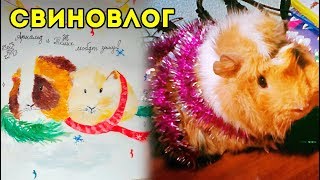 ОШИБКИ В НОВОГОДНИХ ФОТО... ДОМАШНИЙ ВЛОГ / КУЗЯ ХВОСТИК ТОЛИКА / SvinkiShow