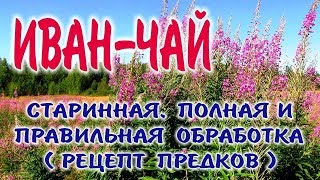 ИВАН-ЧАЙ КОПОРСКИЙ ЧАЙ. Заготовка, приготовление, ферментация и жарка иван чая.