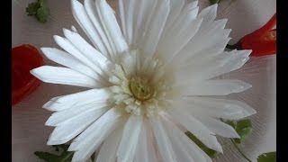 Cách tỉa hoa đồng tiền từ cây tỏi tây-CARVING FLOWER FROM LEEK -從蔬菜雕刻花-BLUMEN SCHNITZEN AUS LAUCH-