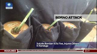 Borno Attack: Suicide Bomber Kills Five, Injures Others In Konduga