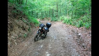 Медовеевка лес. Второй раз на бездорожье  Yamaha YBR 125