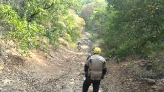 RTB IV: Uly Brad makes it look easy