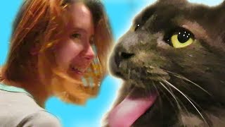 Mia Pranks Moochie the Cat! (Vlog #471)