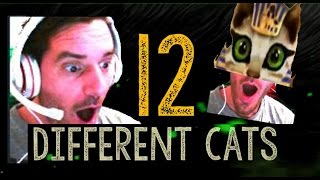 CE JEU DE CHAT EST INCROYABLE !? LE 12EME VA VOUS ETONNER !