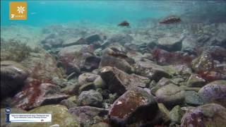 Хасанский район Приморский край