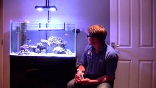 Phytoplankton, Rotifers & Copepods