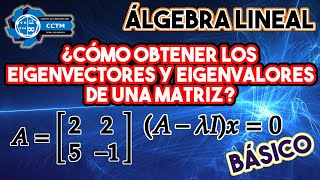 ???? Eigenvalores y Eigenvectores | Valores y vectores propios | Matriz 2x2 |¡Muy básico!