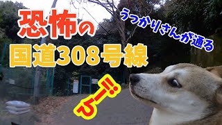 【恐怖の国道308号線】大阪の酷道にうっかりさんが迷い込む〜This is the national highway in japan(Another name is cruel road )〜