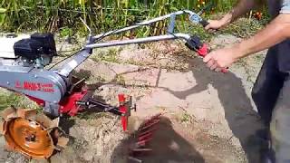 Копаем картошку мотоблоком. Самодельная веерная картофелекопалка. digging for potatoes. Часть 2.