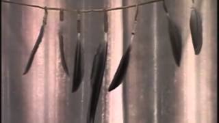 Feathers In The Wind