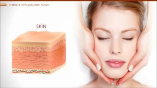 Terramater Clay Minerals ENG