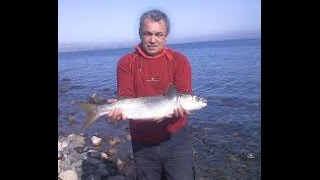 Рыбалка на пеленгаса  азовское море с генгорка.  垂釣pelengasa