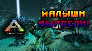 ДРЕЙКИ ВЫРОСЛИ! ГОТОВИМ ИХ КО ВЗРОСЛОЙ ЖИЗНИ! АРК!
