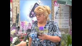 Секреты цветения фиалки круглый год