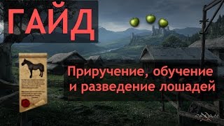 [GUIDE] Life is Feudal - приручение, обучение и разведение лошадей.