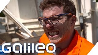 Arbeiten auf dem Wertstoffhof: Wie hart ist der Job? | Galileo | ProSieben