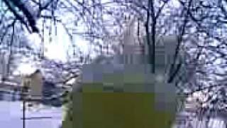 Солярка transit-club.com (Sirrega)