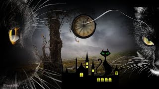 Чёрные кошки.Проект ProShow Producer