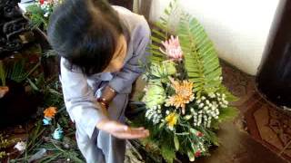 thi cam hoa mua he 2011